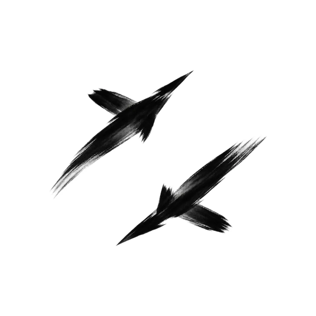 Dogfight: two opposing abstract ink gestures in a white circular Apple Watch icon